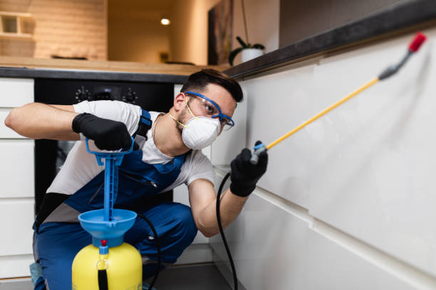 Best Local Pest Control Services  in Rocky Point, NC