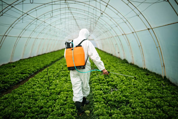 Best Affordable Pest Control Services  in Rocky Point, NC