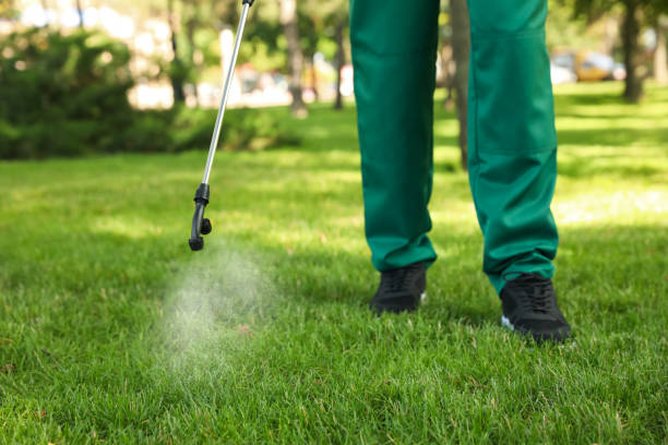 Best Pest Inspection Near Me  in Rocky Point, NC