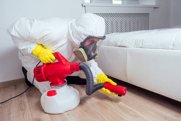 Best Flea Control Services  in Rocky Point, NC
