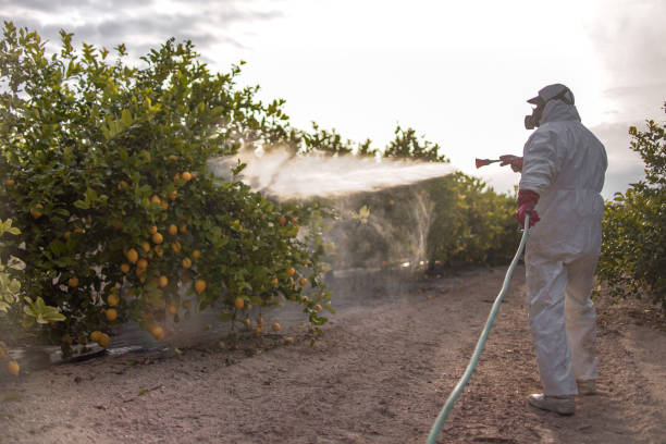 Wildlife Control Services in Rocky Point, NC