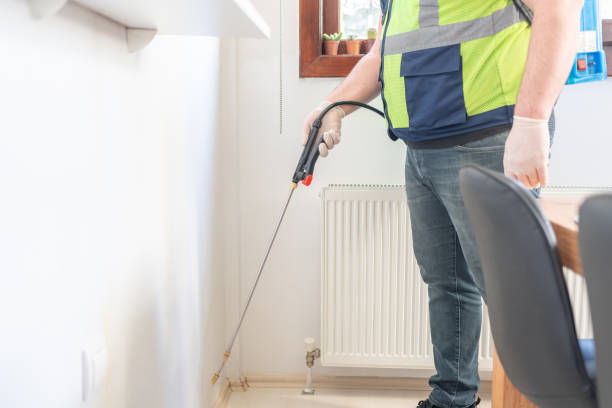 Flea Control Services in Rocky Point, NC