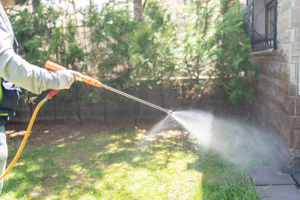 Best Mosquito Control Services  in Rocky Point, NC