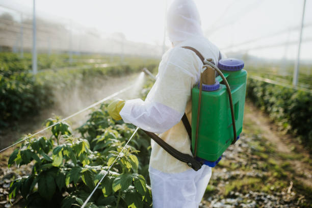 Best Best Pest Control Companies  in Rocky Point, NC